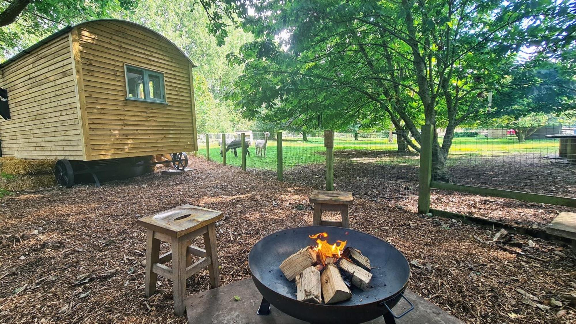 Hotel Horsley Hale Farm Glamping à Ely Chambre photo